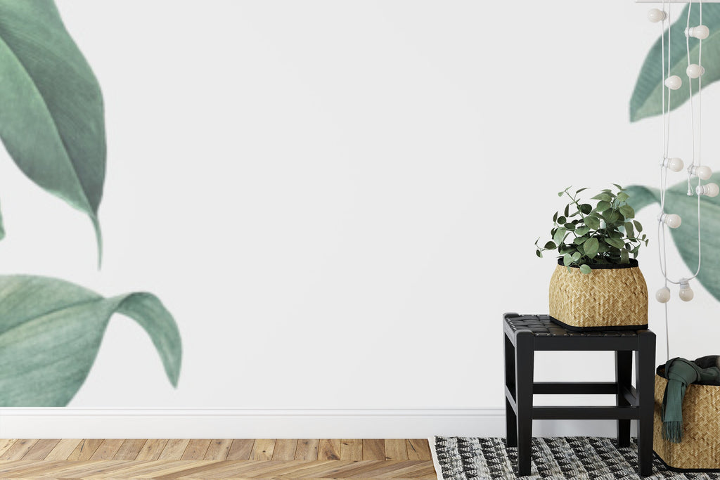 Papier peint panoramique Feuillage sauge — feuilles vert d'eau sur fond gris perle