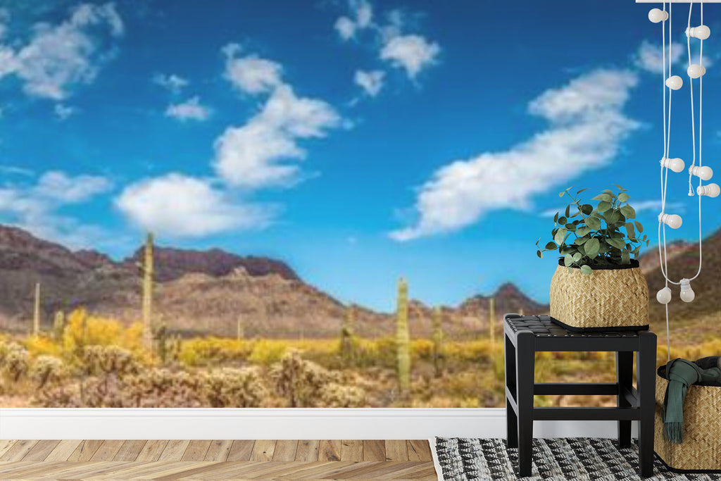 Papier peint panoramique Désert de Sonora — paysage de cactus ocre et bleu