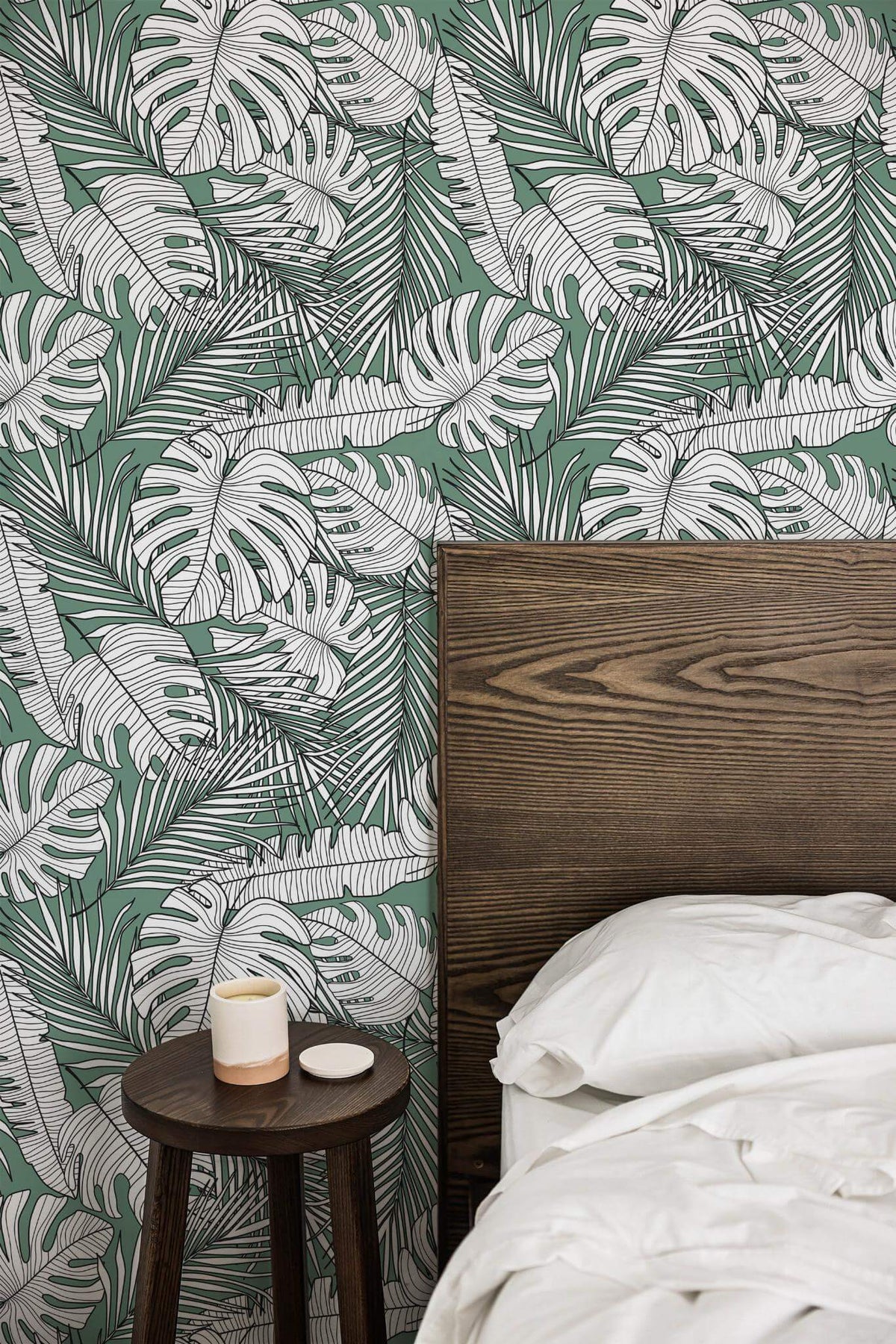 Monstera au Trait sur Vert, en situation