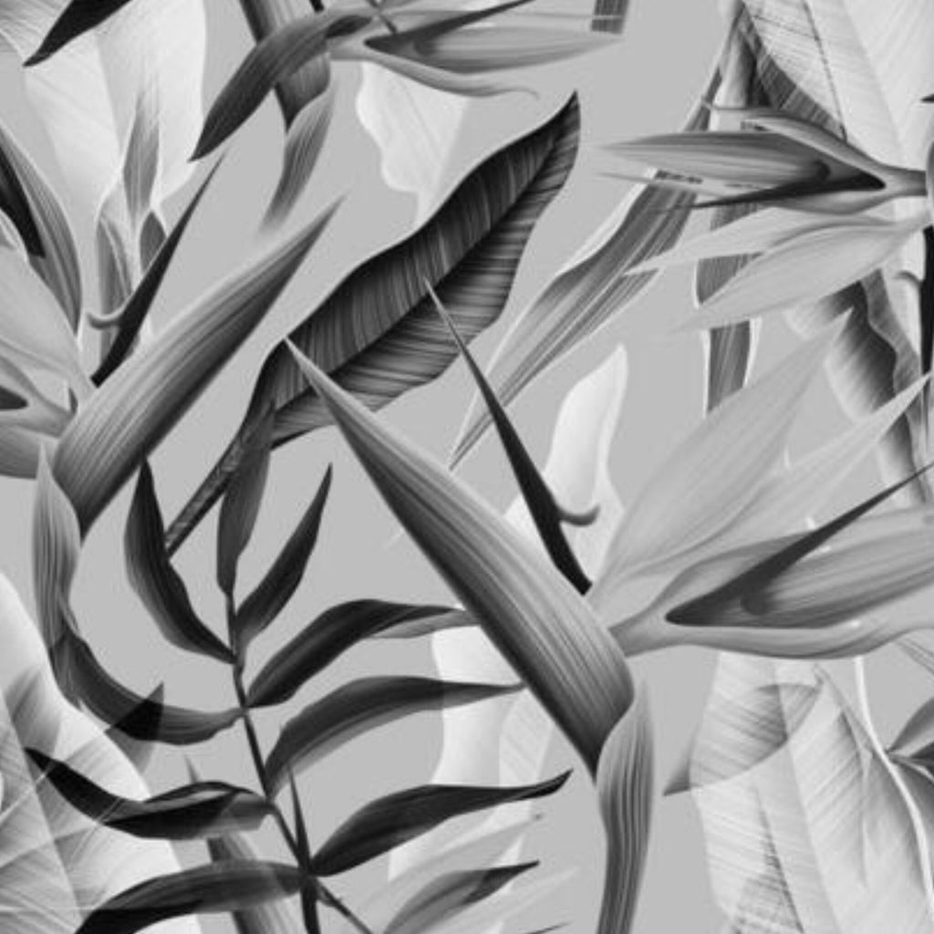 Papier peint panoramique Feuillage monochrome, tropical noir et blanc