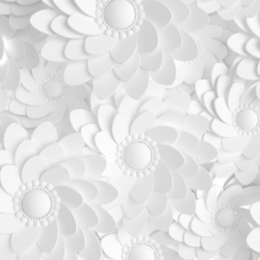 Papier peint panoramique Fleurs de papier, relief floral blanc mat