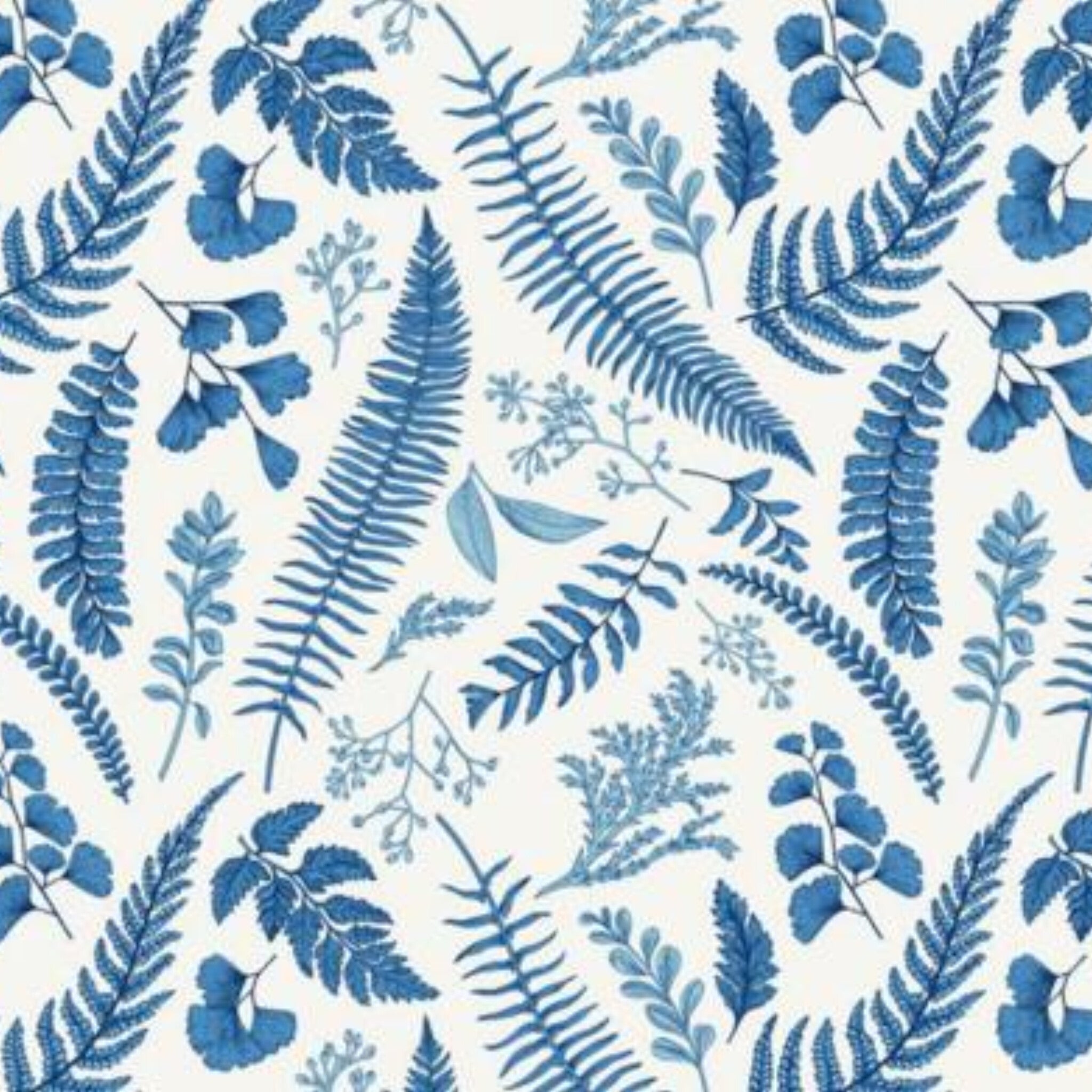 Papier peint panoramique Fougères bleues, herbier gravé sur fond crème
