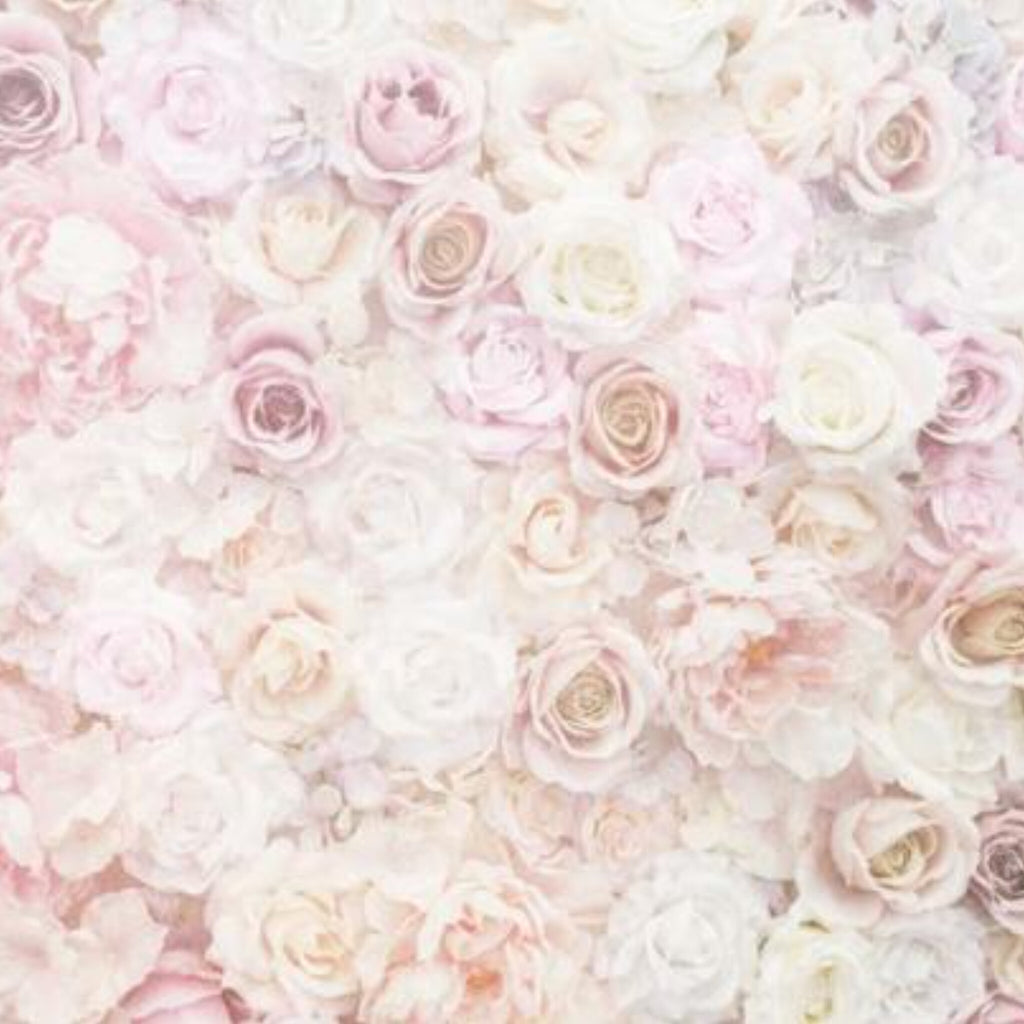 Papier peint panoramique Mur de roses, fleurs poudrées rose et ivoire