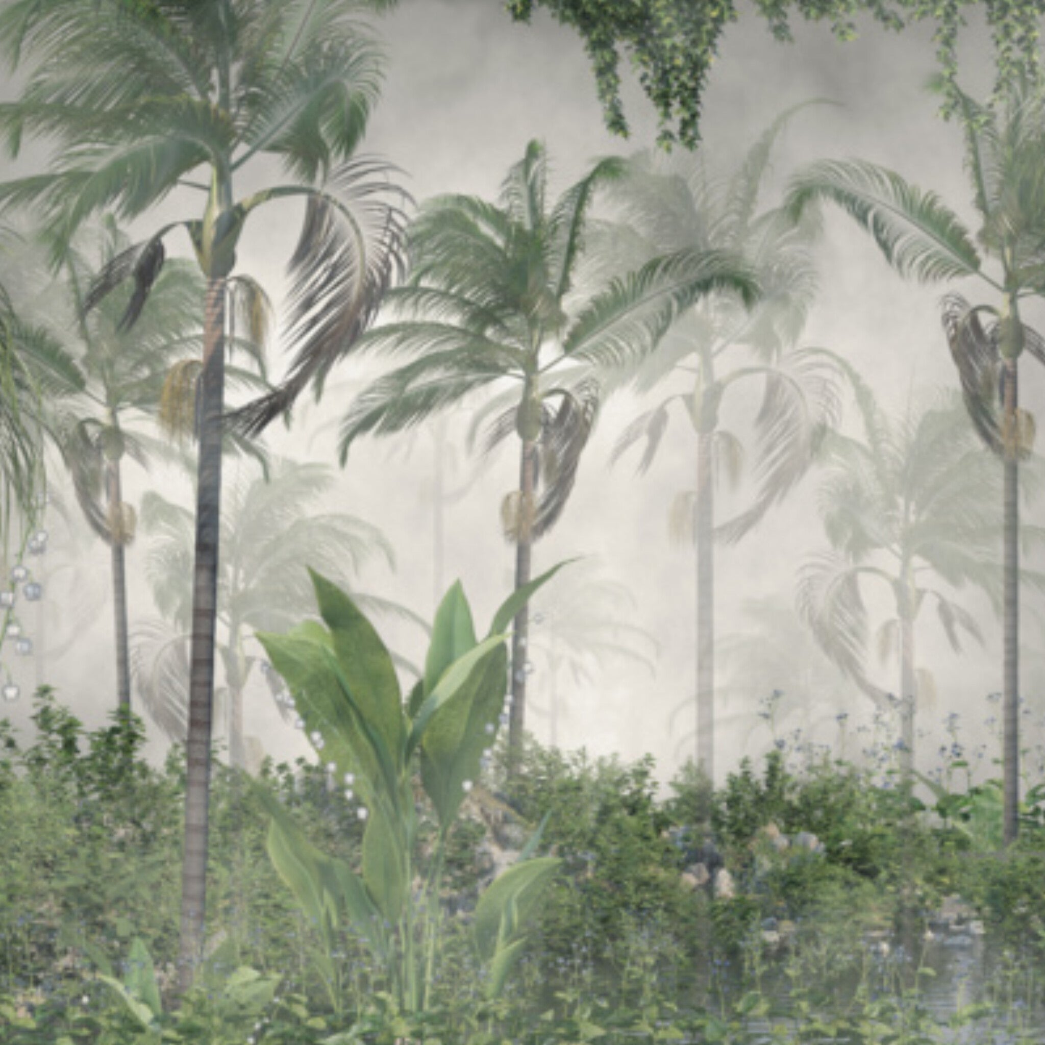 Papier peint panoramique Palmeraie brumeuse, paysage tropical vert amande