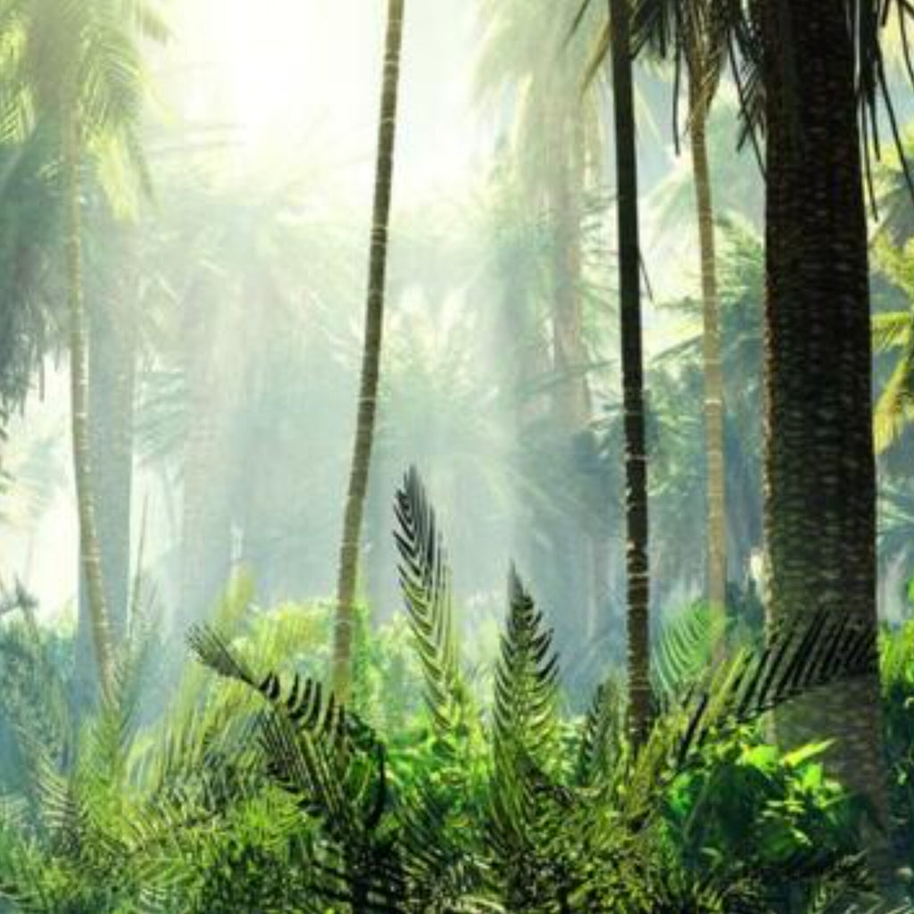 Papier peint panoramique Palmeraie tropicale, jungle vert tendre et brume
