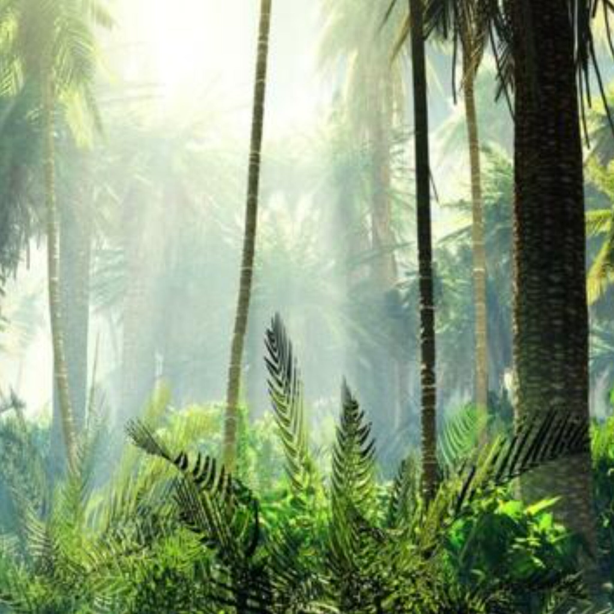 Papier peint panoramique Palmeraie tropicale, jungle vert tendre et brume
