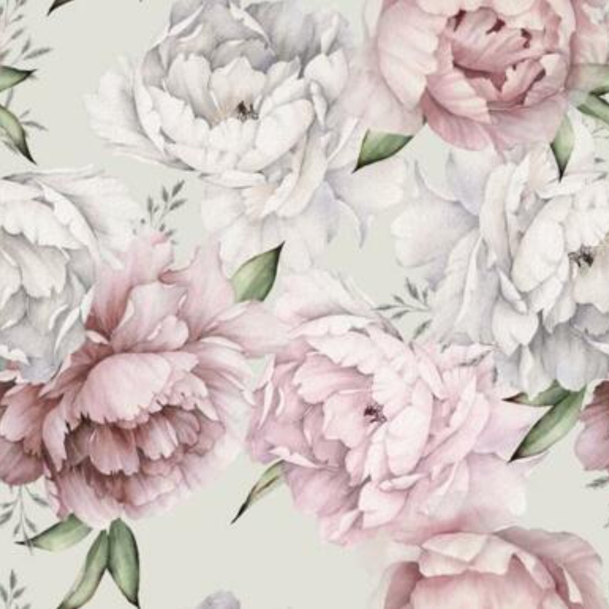 Papier peint panoramique Pivoines à l'aquarelle, floral rose poudré
