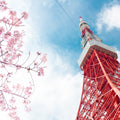 Papier peint panoramique Tour de Tokyo, cerisiers en fleurs et ciel bleu